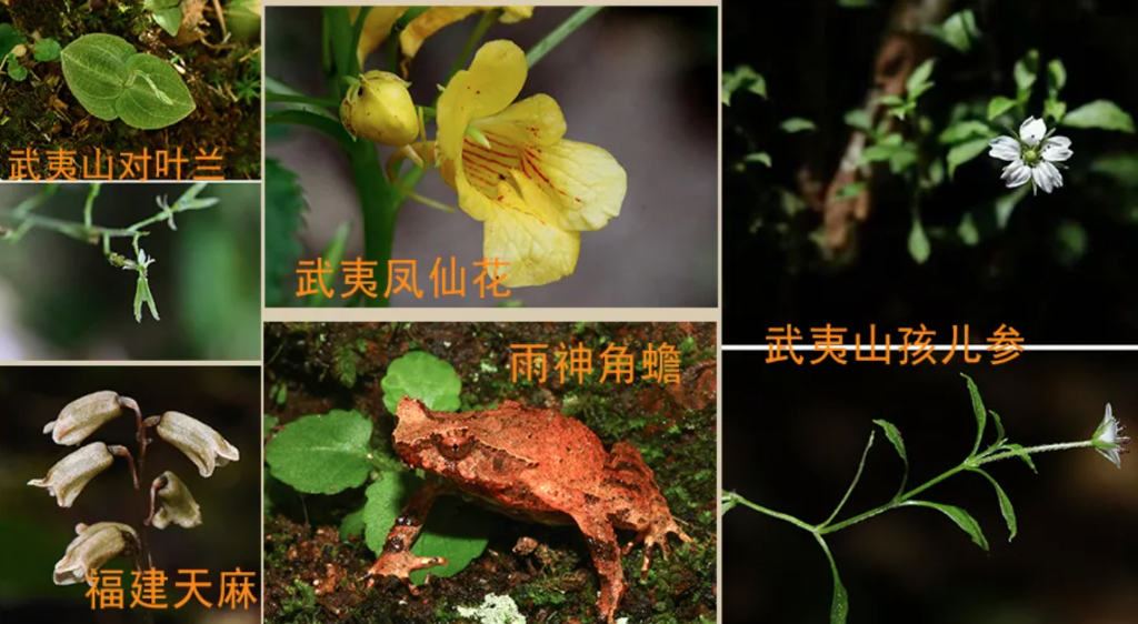截屏2022-01-08 下午5.50.02