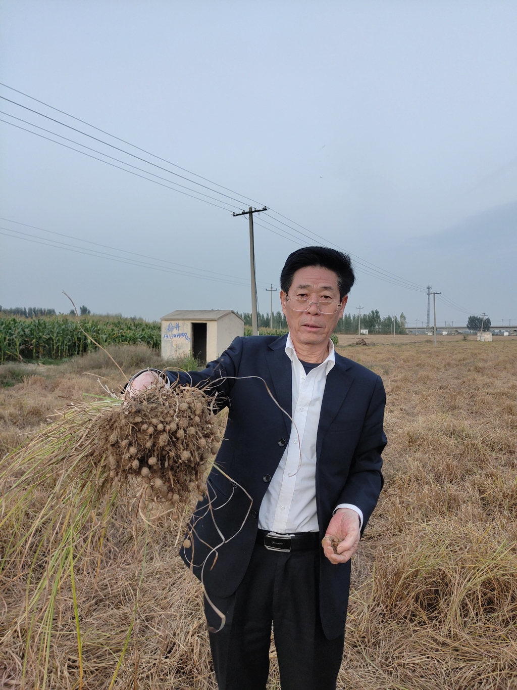 王三秀向記者展示剛摘取的油莎豆