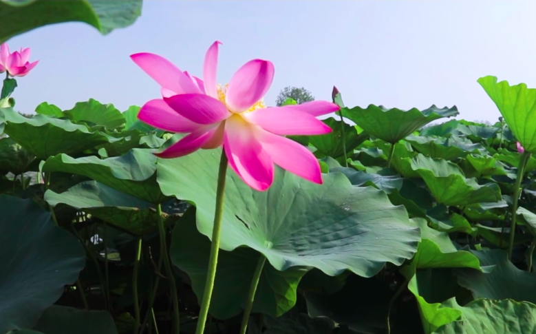 聚焦大湾区5