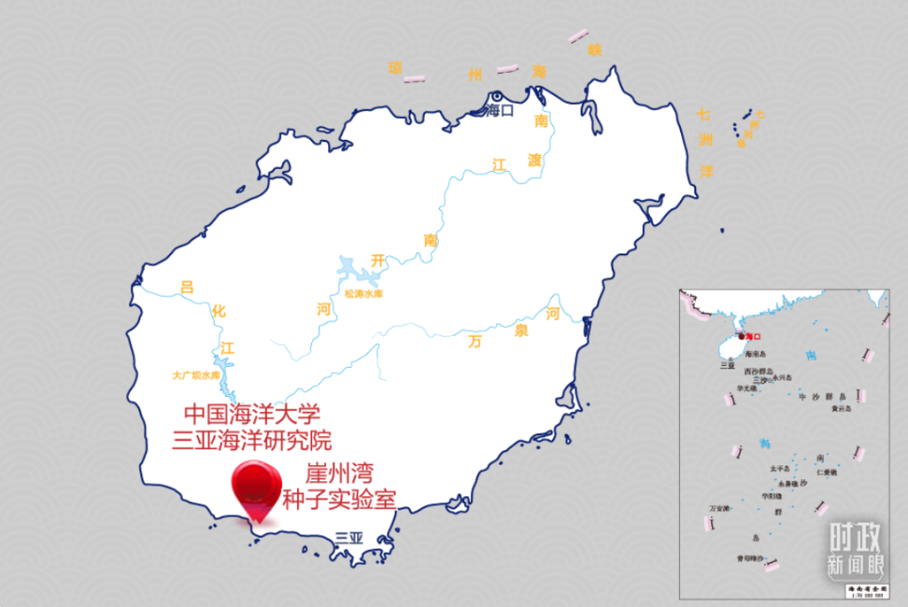 截屏2022-04-11 下午5.01.37