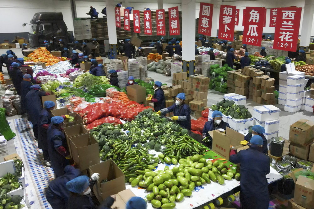 吉林省梅河口市工作人員進行“蔬菜包”菜品分揀(4月7日攝,無人機照片) 4ec147c395cb4e68b317e83074a994cf