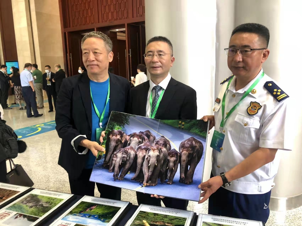 雲南省委宣傳部副部長、網信辦主任蔡祥榮與雲南省森林消防局展示亞洲象城北上南歸巨幅照片