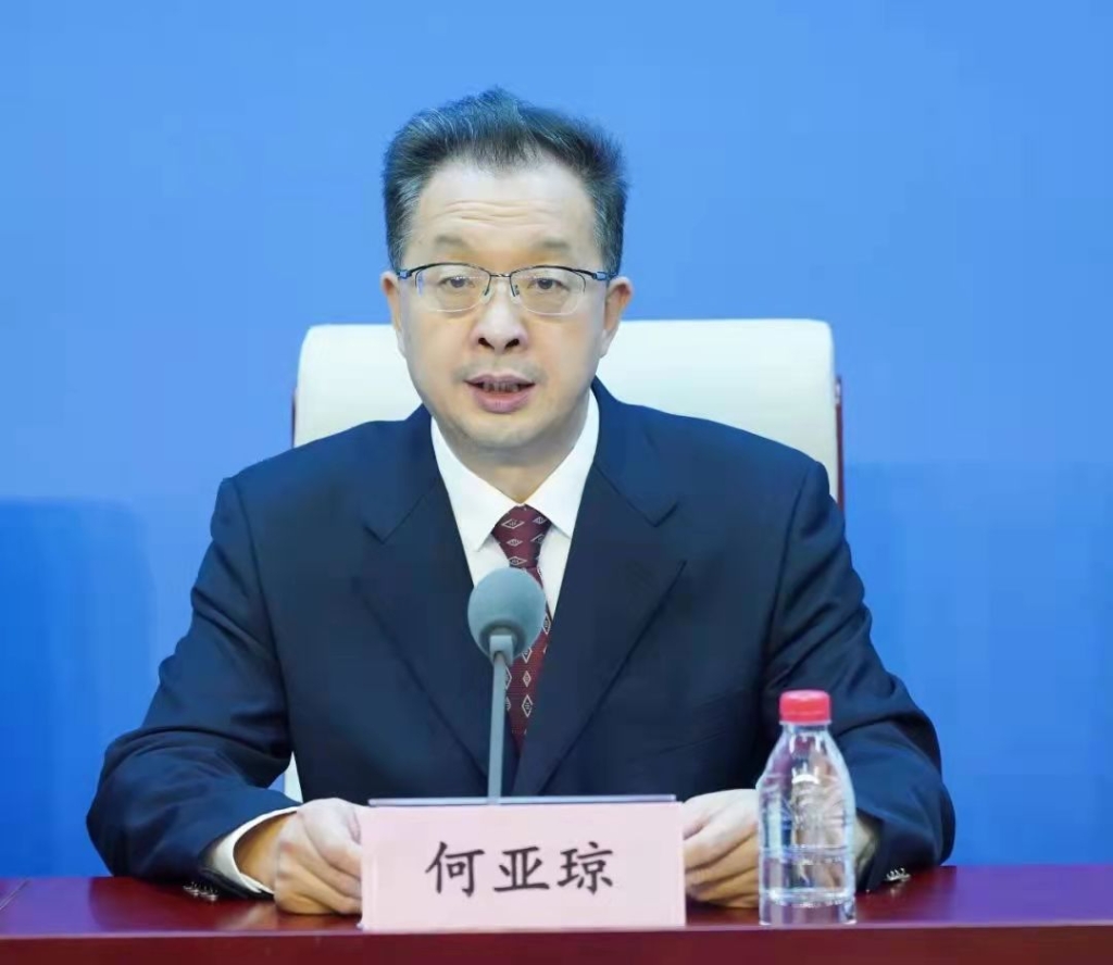 工业和信息化部消费品工业司司长何亚琼