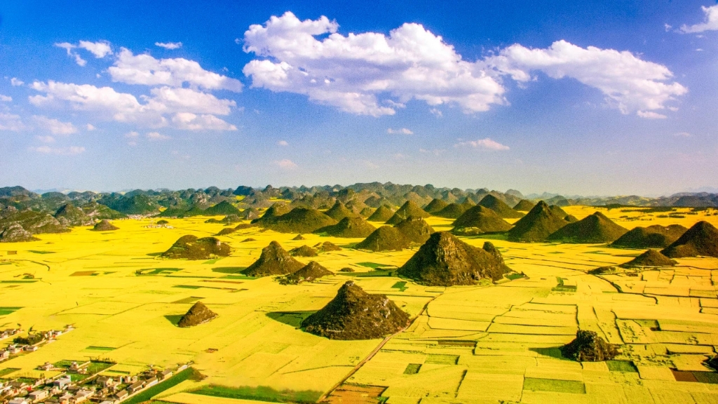 微信图片_20230116170453