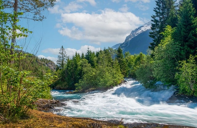 river-8279466_640