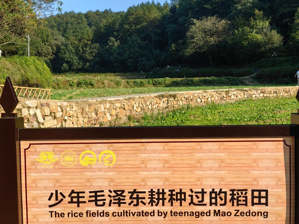 图片_20231226105700