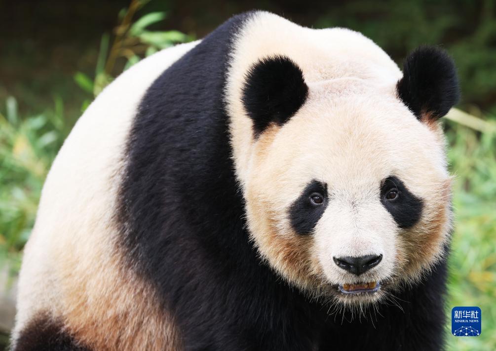 1129766497_16902501606311n