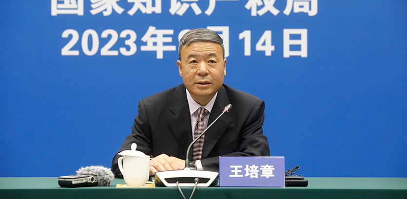 國家知識產權局公共服務司司長王培章