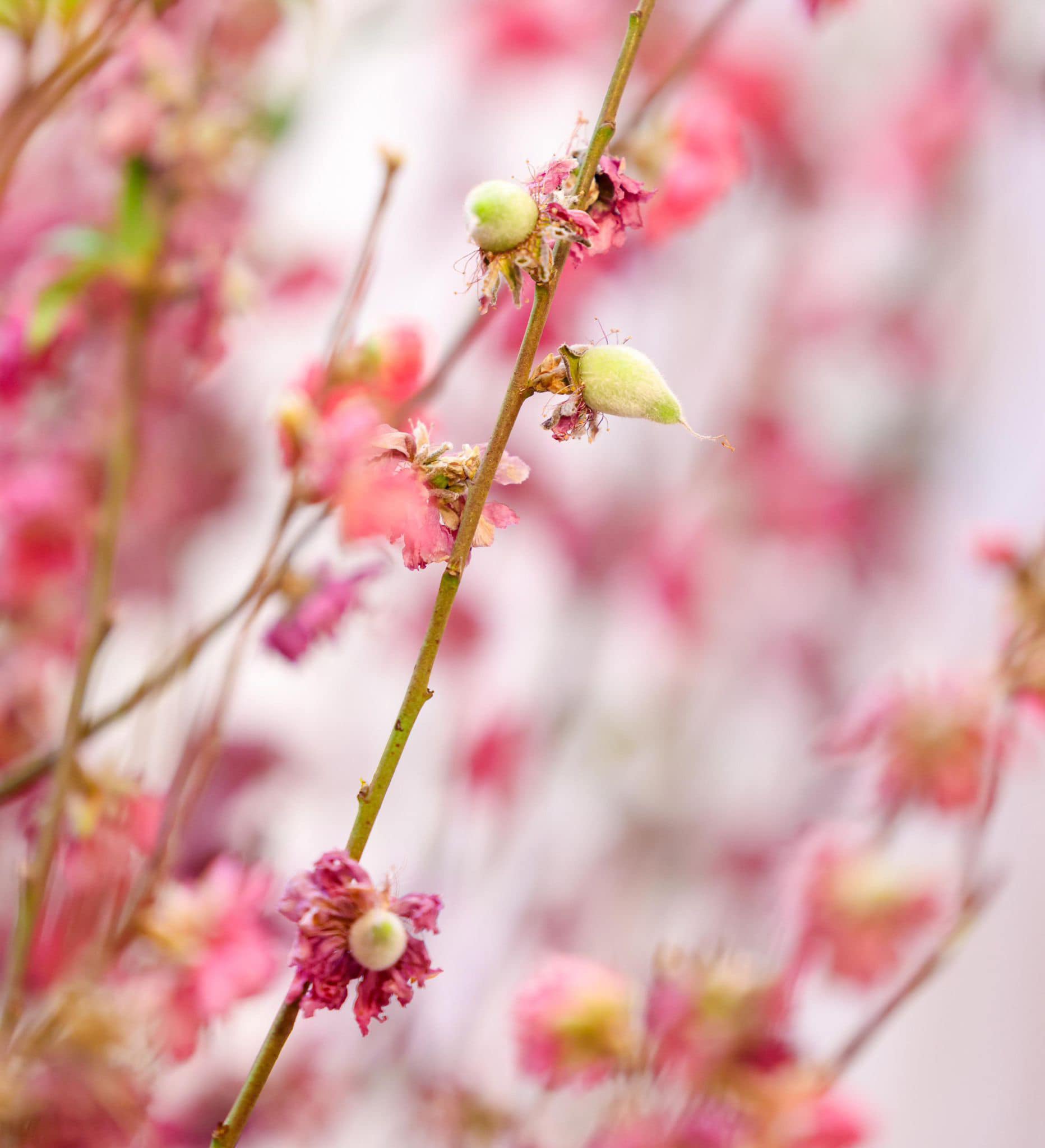 429588448_384620547648150_364913486517571500_n