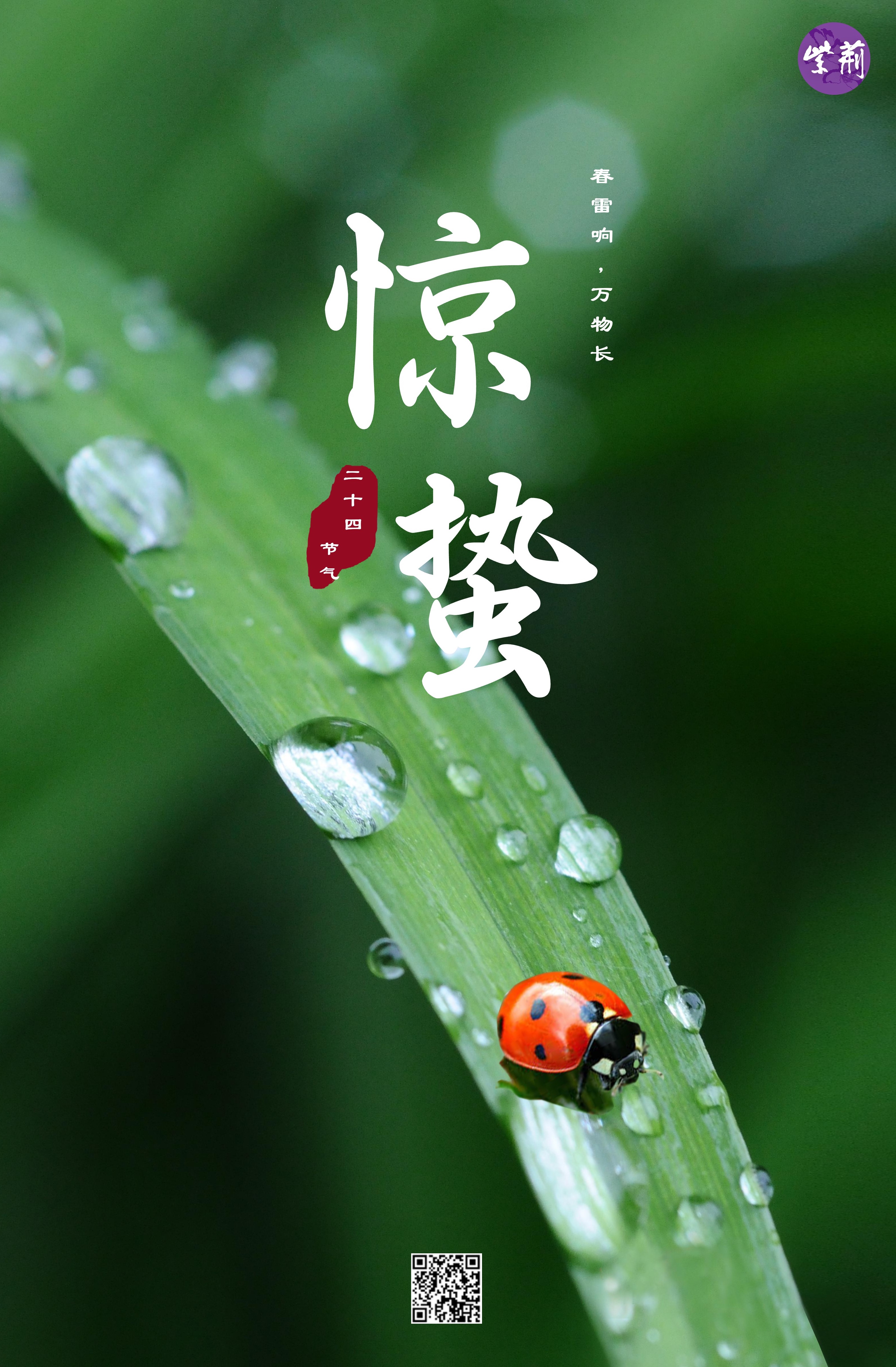 简约中国二十四节气24节气惊蛰节气3月5日春雷响万-1