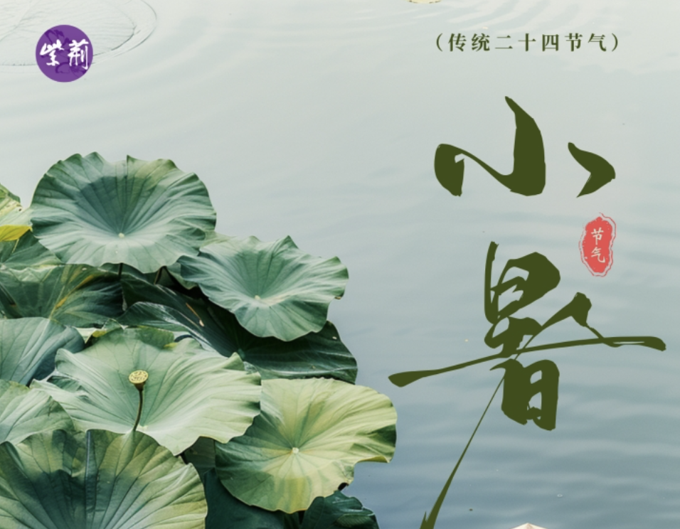小暑｜倏忽温风至，因循小暑来