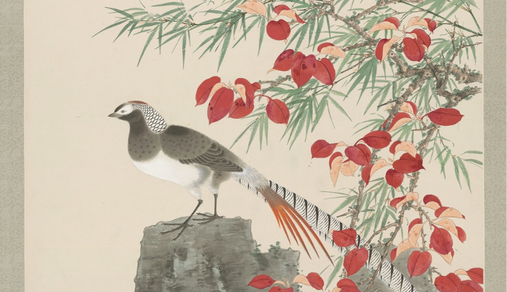 謝稚柳 菊花圖